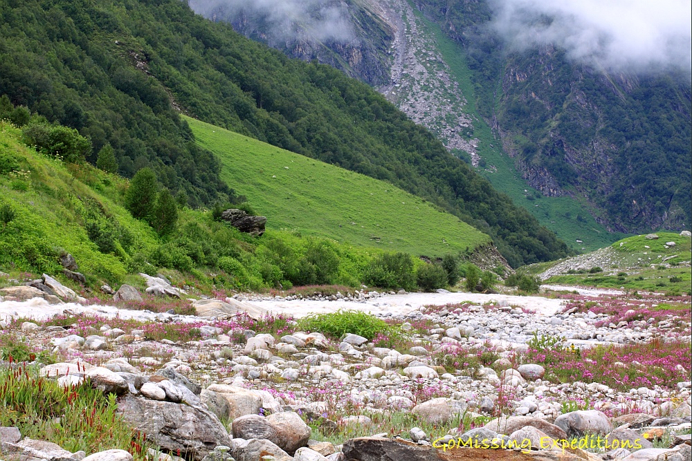 Pushpawati river flowing through the valley of flowers, Uttarakhand