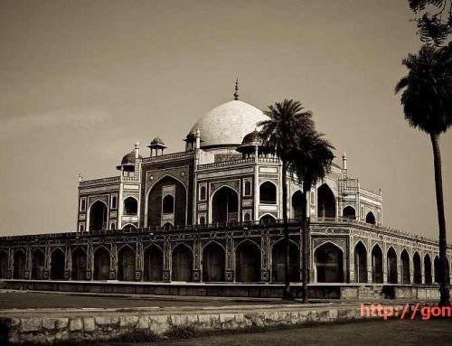 8 awesome and free things to do in Delhi