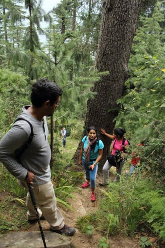 trekking through forests to Lama Dug meadows