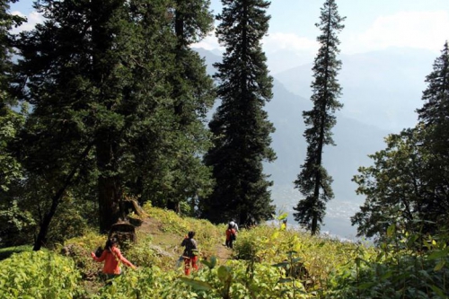 Trekking back to Manali