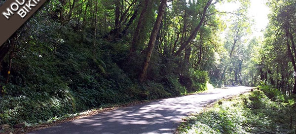 Cycling trips in Uttarakhand - Chopta