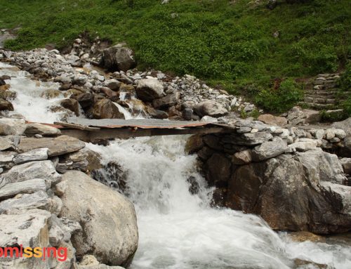Trekking in Valley of Flowers